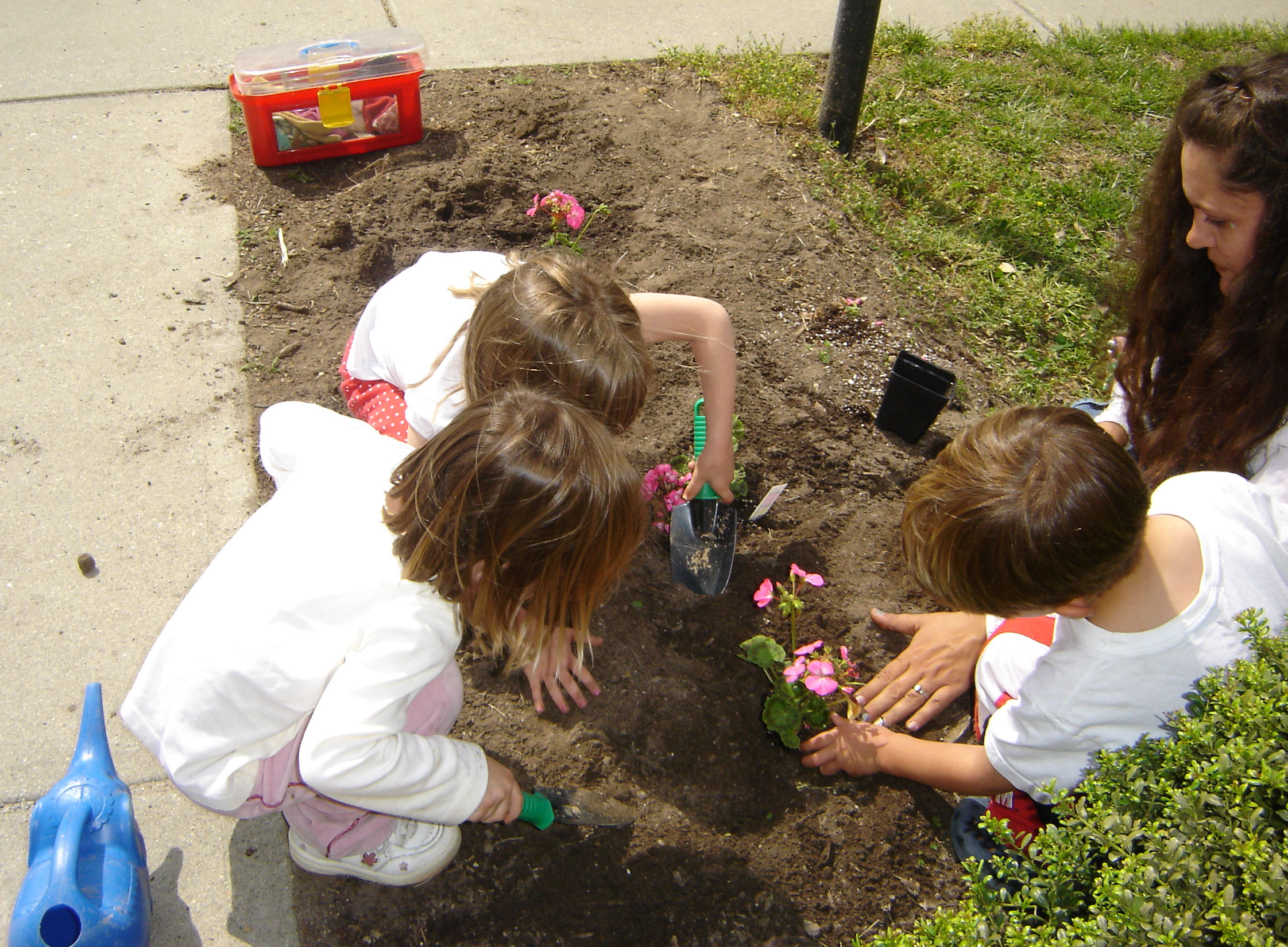 Planting Flowers