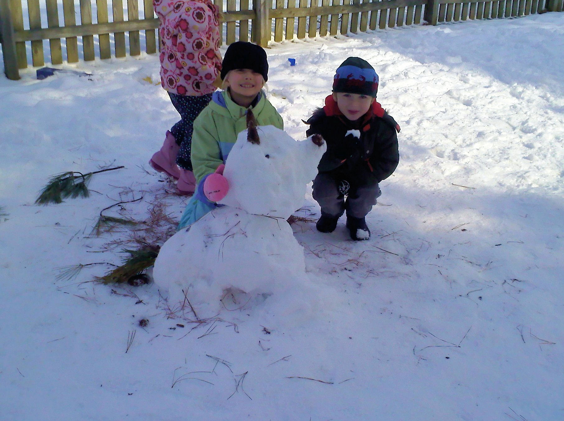 Snow Dog